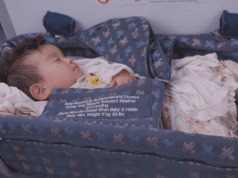 10 Tips for Perfect airplane bassinets for baby | Myhealthxp airplane bassinets for baby