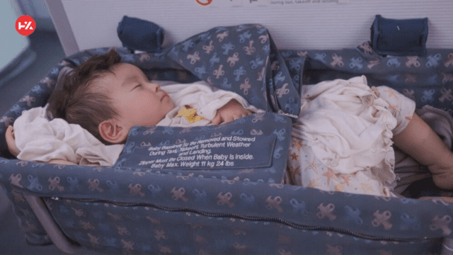 airplane bassinets for baby